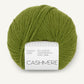 Cashmere Sandnes Garn