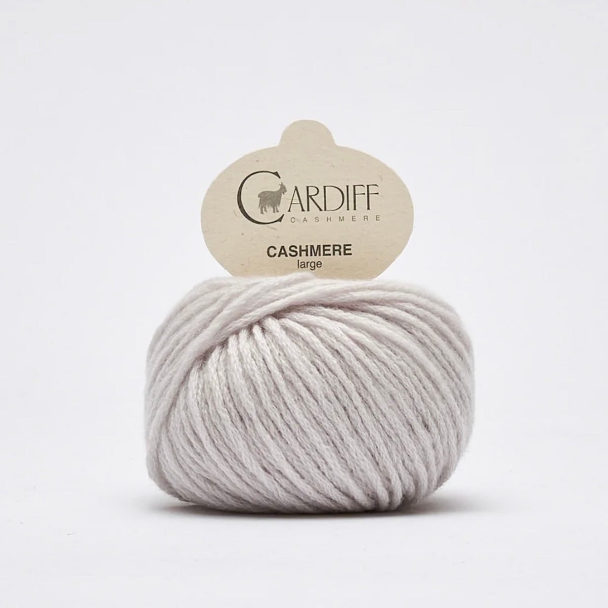 Large von Cardiff