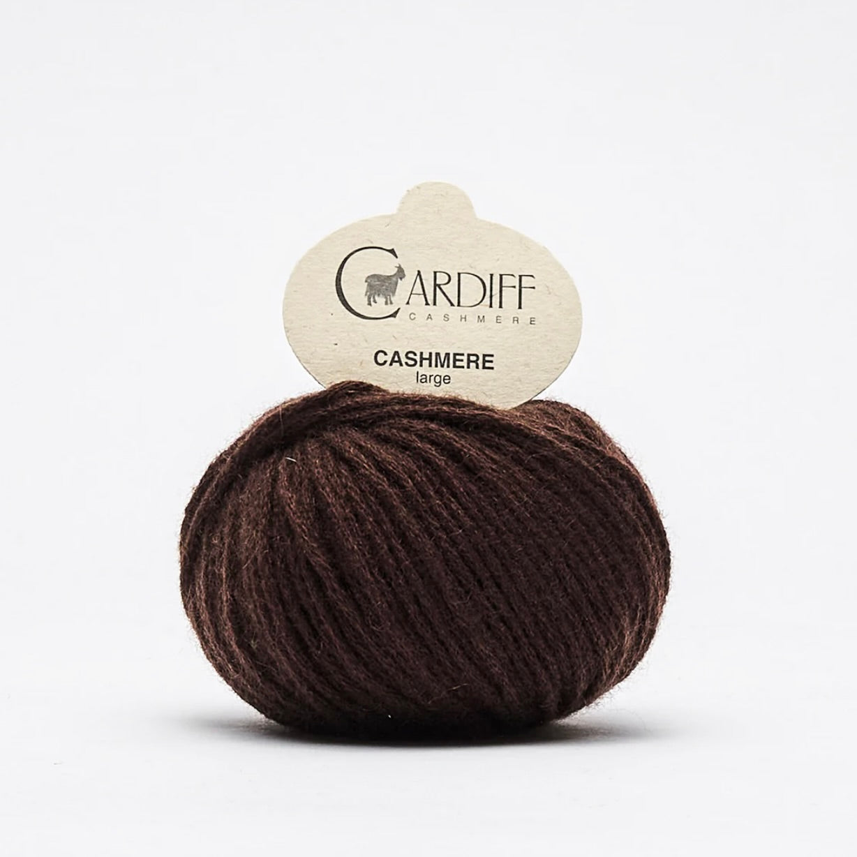 Large von Cardiff