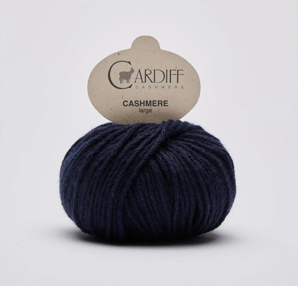 Large von Cardiff