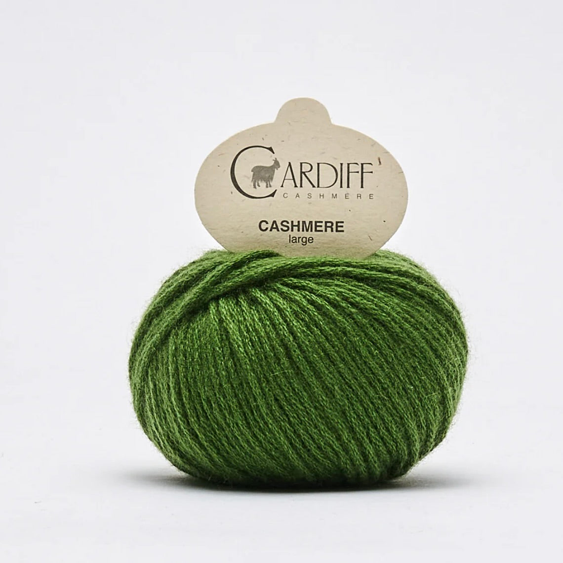 Large von Cardiff